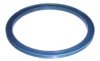 BPW 0256645800 Shaft Oil Seal
